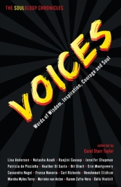 The Soulology Chronicles: Voices - Words