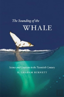 Bertrand.pt - The Sounding Of The Whale