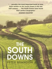 The South Downs