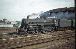 Bertrand.pt - The Southern Way 73
