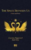 The Space Between Us