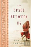 The Space Between Us
