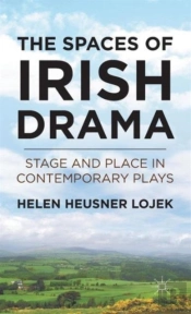 The Spaces Of Irish Drama