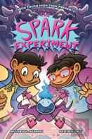 The Spark Experiment