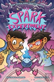 The Spark Experiment