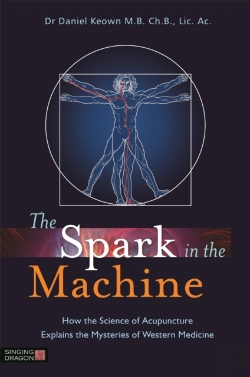 Bertrand.pt - The Spark In The Machine