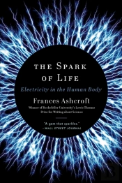 The Spark Of Life