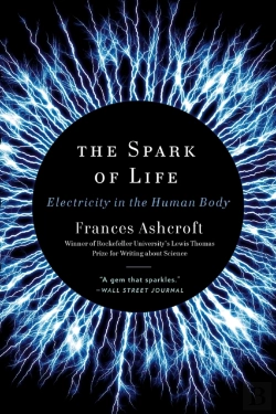 Bertrand.pt - The Spark Of Life
