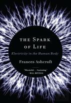 The Spark Of Life