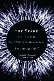 The Spark Of Life