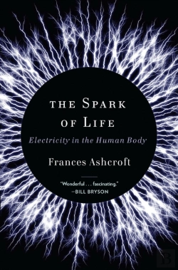 Bertrand.pt - The Spark Of Life