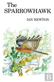 The Sparrowhawk