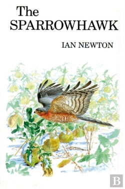 Bertrand.pt - The Sparrowhawk