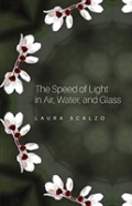 The Speed Of Light In Air, Water, And Glass