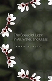 The Speed Of Light In Air, Water, And Glass