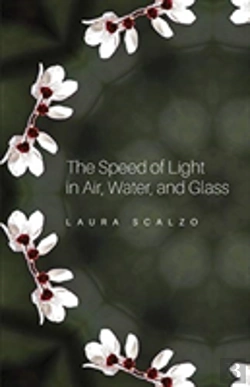 Bertrand.pt - The Speed Of Light In Air, Water, And Glass