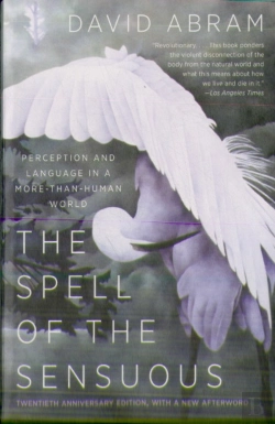 Bertrand.pt - The Spell Of The Sensuous
