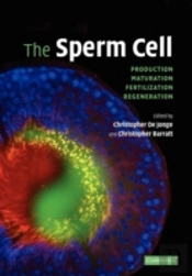 The Sperm Cell