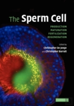 Bertrand.pt - The Sperm Cell