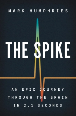Bertrand.pt - The Spike