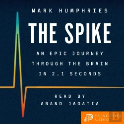 Bertrand.pt - The Spike