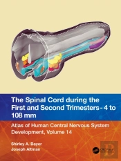 The Spinal Cord During The First And Early Second Trimesters 4- To 108-Mm Crown-Rump Lengths