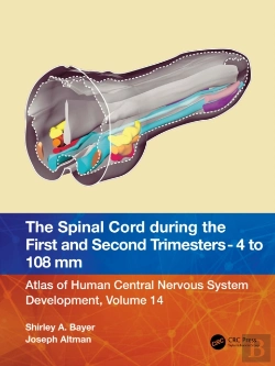 Bertrand.pt - The Spinal Cord During The First And Early Second Trimesters 4- To 108-Mm Crown-Rump Lengths