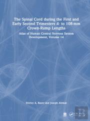 The Spinal Cord During The First And Early Second Trimesters 4- To 108-Mm Crown-Rump Lengths