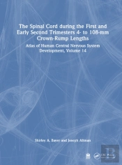 The Spinal Cord During The First And Early Second Trimesters 4- To 108-Mm Crown-Rump Lengths