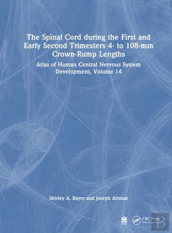 Bertrand.pt - The Spinal Cord During The First And Early Second Trimesters 4- To 108-Mm Crown-Rump Lengths