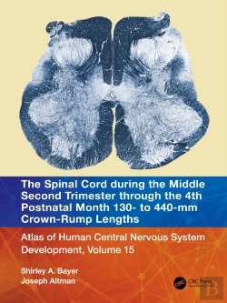 Bertrand.pt - The Spinal Cord During The Middle Second Trimester Through The 4th Postnatal Month 130- To 440-Mm Crown-Rump Lengths