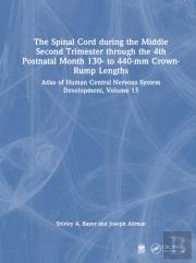 The Spinal Cord During The Middle Second Trimester Through The 4th Postnatal Month 130- To 440-Mm Crown-Rump Lengths
