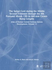 The Spinal Cord During The Middle Second Trimester Through The 4th Postnatal Month 130- To 440-Mm Crown-Rump Lengths