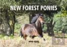 The Spirit Of New Forest Ponies