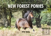 The Spirit Of New Forest Ponies