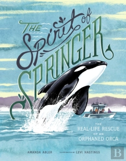 Bertrand.pt - The Spirit Of Springer