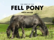 The Spirit Of The Fell Pony