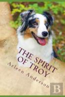 The Spirit Of Troy