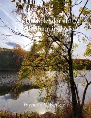 The Splendor Of Lake Elkhorn In The Fall
