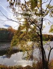 The Splendor Of Lake Elkhorn In The Fall