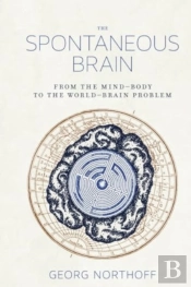 The Spontaneous Brain