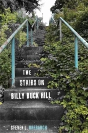 The Stairs On Billy Buck Hill