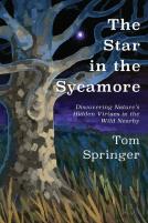 The Star In The Sycamore