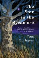 The Star In The Sycamore