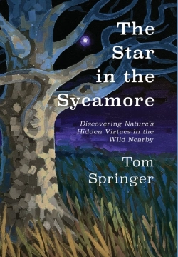 Bertrand.pt - The Star In The Sycamore