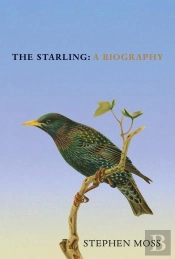 The Starling