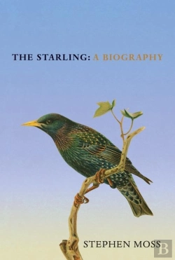 Bertrand.pt - The Starling