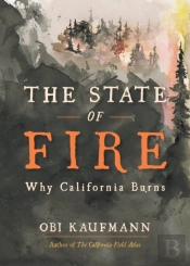 The State Of Fire
