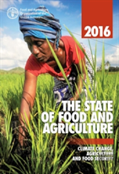 The State Of Food And Agriculture 2016