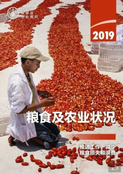 Bertrand.pt - The State Of Food And Agriculture 2019 (Chinese Edition)